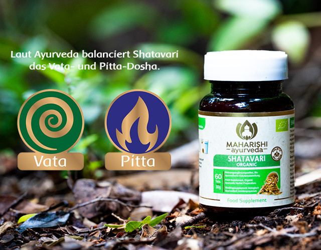 Shatavari, Maharishi Ayurveda, bio